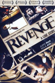 Revenge : A love story