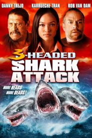 L’attaque du requin a 3 têtes