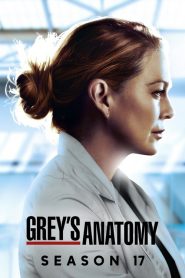 Grey’s Anatomy: Saison 17