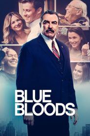 Blue Bloods: Saison 12